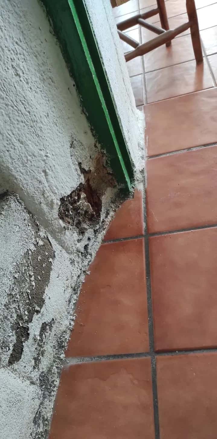 Humedad y desconchado en la base de una pared junto al marco de una puerta